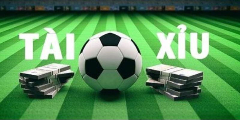 Bí quyết chọn tài xỉu 2-2.5
