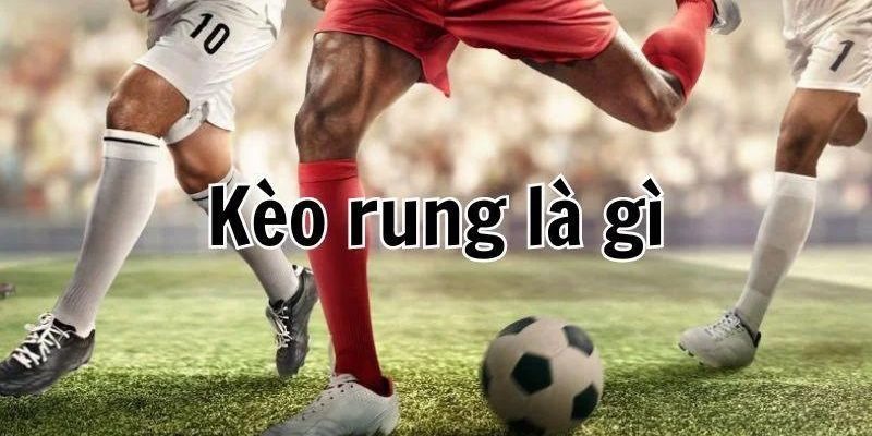 Tổng hợp các thuật ngữ kèo rung thường gặp